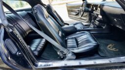 1977 Pontiac Firebird Trans Am full