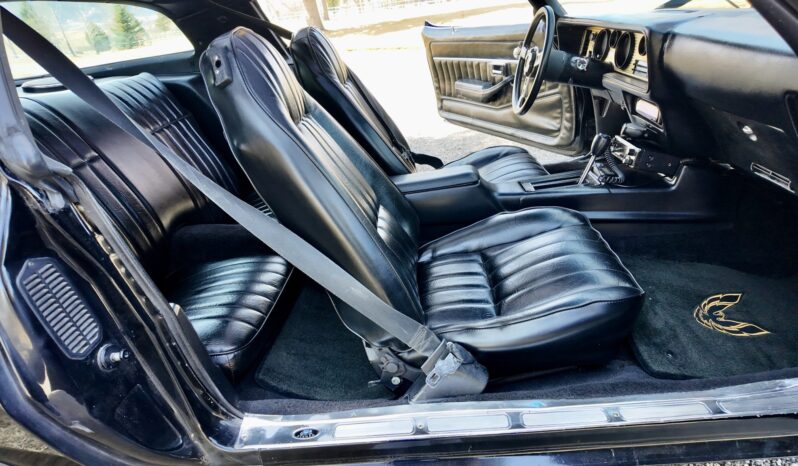 								1977 Pontiac Firebird Trans Am full									