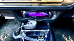 1977 Pontiac Firebird Trans Am full