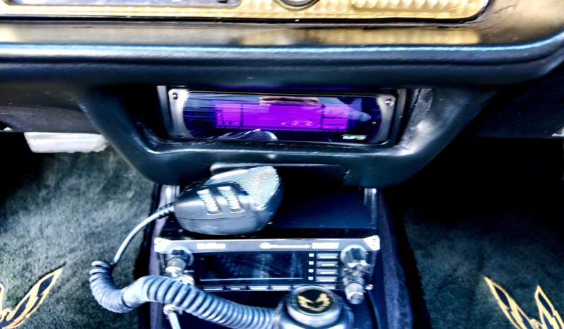 								1977 Pontiac Firebird Trans Am full									