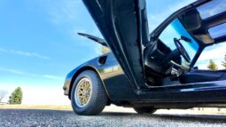 1977 Pontiac Firebird Trans Am full