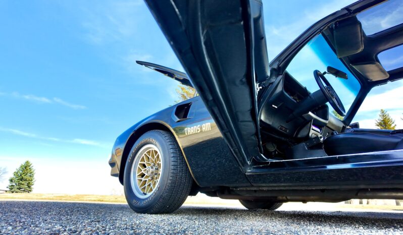 								1977 Pontiac Firebird Trans Am full									
