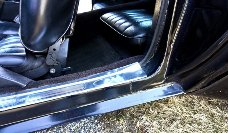 								1977 Pontiac Firebird Trans Am full									