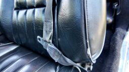 1977 Pontiac Firebird Trans Am full