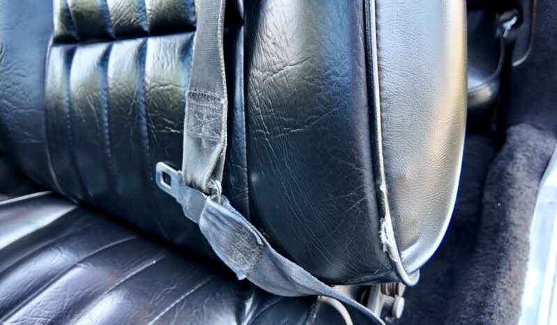 								1977 Pontiac Firebird Trans Am full									