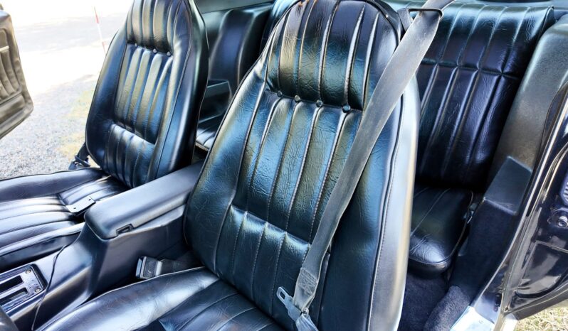 								1977 Pontiac Firebird Trans Am full									