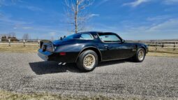 1977 Pontiac Firebird Trans Am full