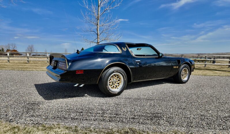 								1977 Pontiac Firebird Trans Am full									