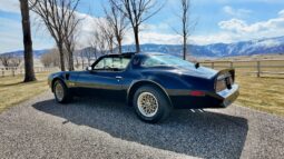 1977 Pontiac Firebird Trans Am full