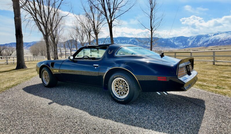 								1977 Pontiac Firebird Trans Am full									