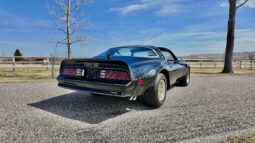 1977 Pontiac Firebird Trans Am full