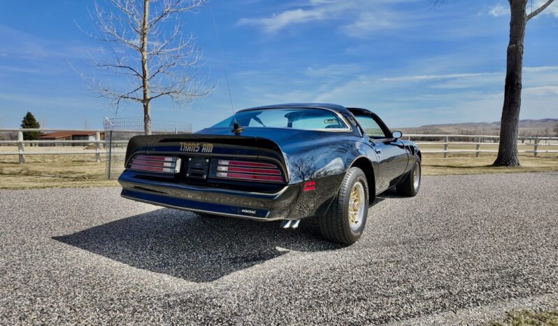 								1977 Pontiac Firebird Trans Am full									