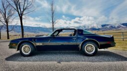 1977 Pontiac Firebird Trans Am