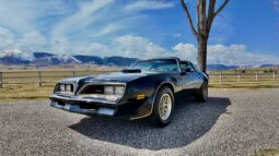 1977 Pontiac Firebird Trans Am full