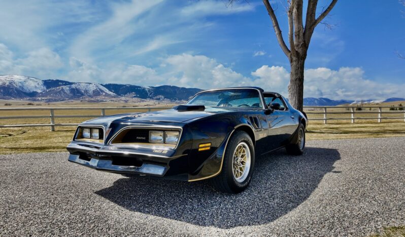 								1977 Pontiac Firebird Trans Am full									