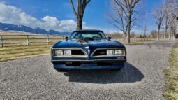 1977 Pontiac Firebird Trans Am full