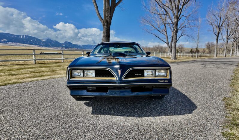 								1977 Pontiac Firebird Trans Am full									