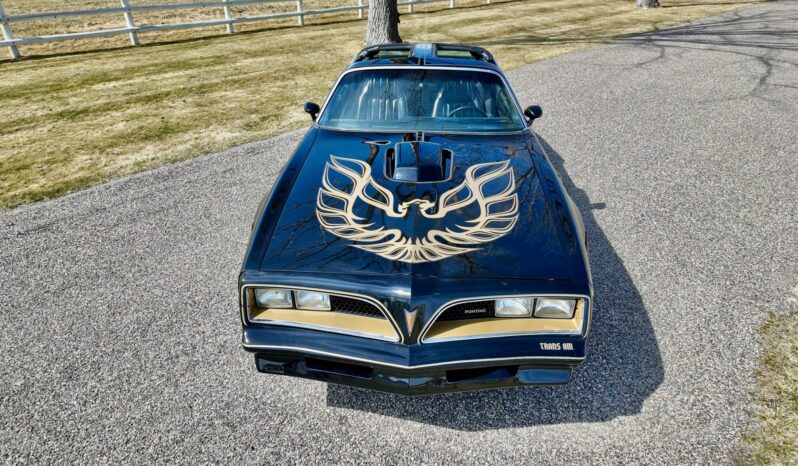								1977 Pontiac Firebird Trans Am full									