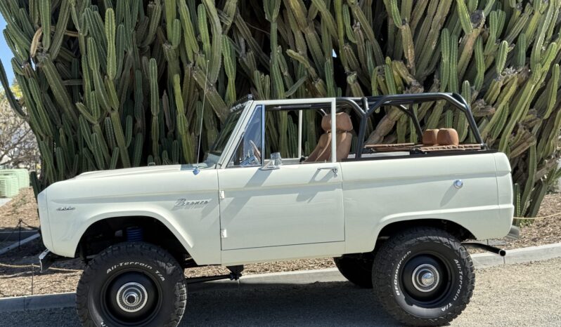 								1966 Ford Bronco full									