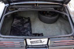 1978 Pontiac Firebird Trans Am Special Edition 4-Speed