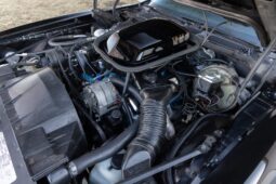 										1978 Pontiac Firebird Trans Am Special Edition 4-Speed full									