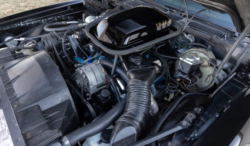 								1978 Pontiac Firebird Trans Am Special Edition 4-Speed full									