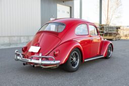 1961 Volkswagen Beetle