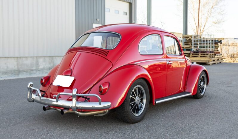 								1961 Volkswagen Beetle full									