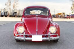 1961 Volkswagen Beetle