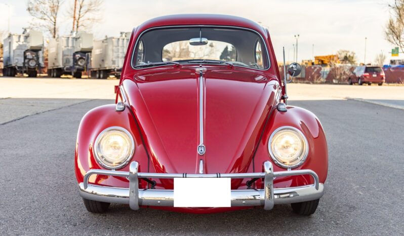 								1961 Volkswagen Beetle full									