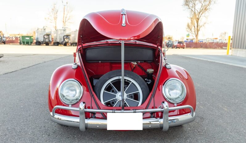 								1961 Volkswagen Beetle full									