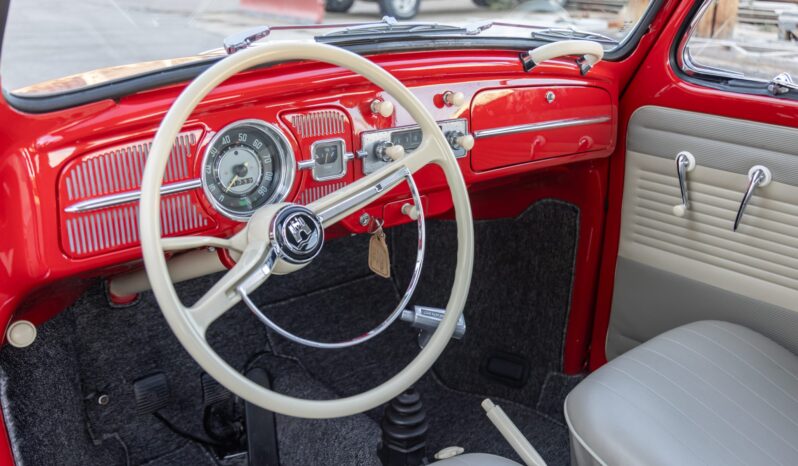 								1961 Volkswagen Beetle full									