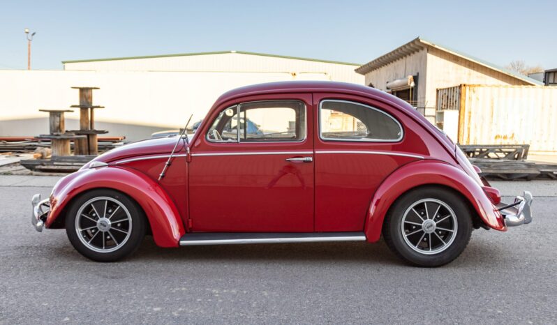 								1961 Volkswagen Beetle full									