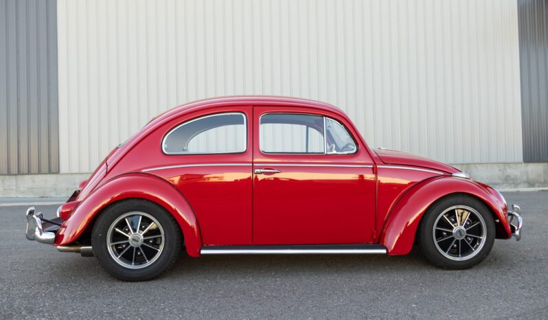 								1961 Volkswagen Beetle full									