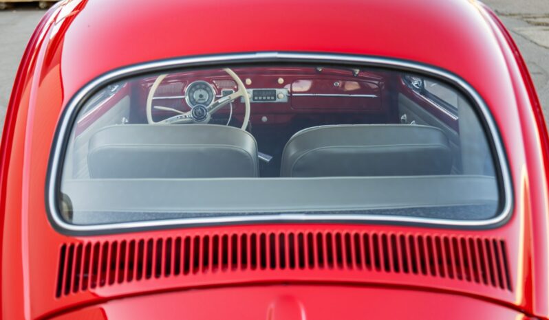 								1961 Volkswagen Beetle full									