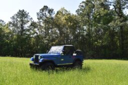 1979 Jeep CJ-7 full