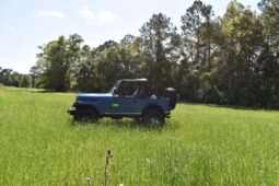 1979 Jeep CJ-7 full