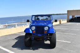 1979 Jeep CJ-7 full