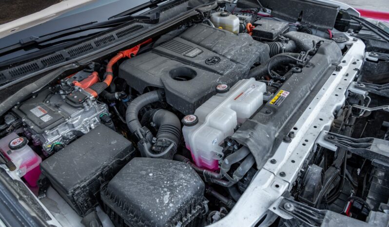 								2023 Toyota Tundra TRD Pro full									