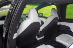 2022 Tesla Model X Plaid full