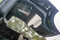 2022 Tesla Model X Plaid full