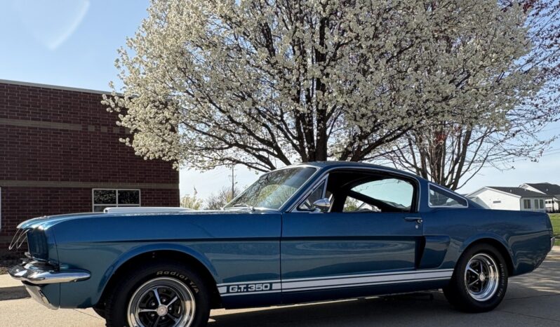 								1965 Ford Mustang Fastback 5-Speed full									
