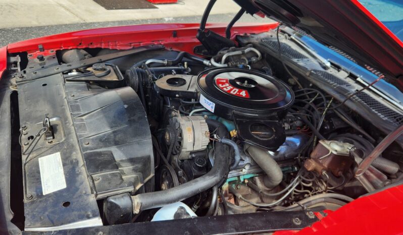 								1973 Pontiac Firebird Formula 350 full									