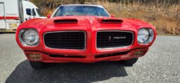 1973 Pontiac Firebird Formula 350 full