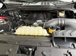 										2024 Ford F-150 XL 4×4 full									