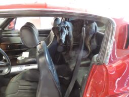 1967 Ford Mustang Fastback 5-Speed