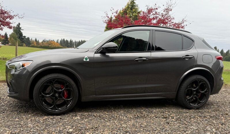 								2023 Alfa Romeo Stelvio Quadrifoglio full									