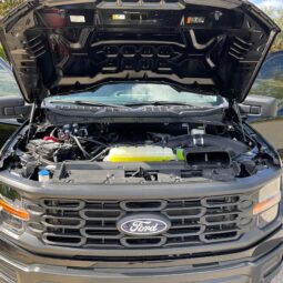 										2024 Ford F-150 XL 4×4 full									