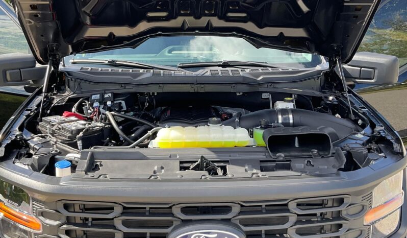 								2024 Ford F-150 XL 4×4 full									