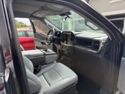 2024 Ford F-150 XL 4×4